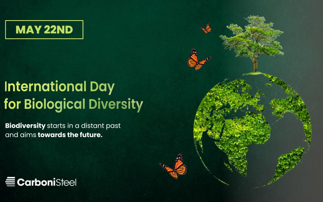 World Biodiversity Day 2023 – The Richness of Life on Earth Is at Risk and Must Be Protected