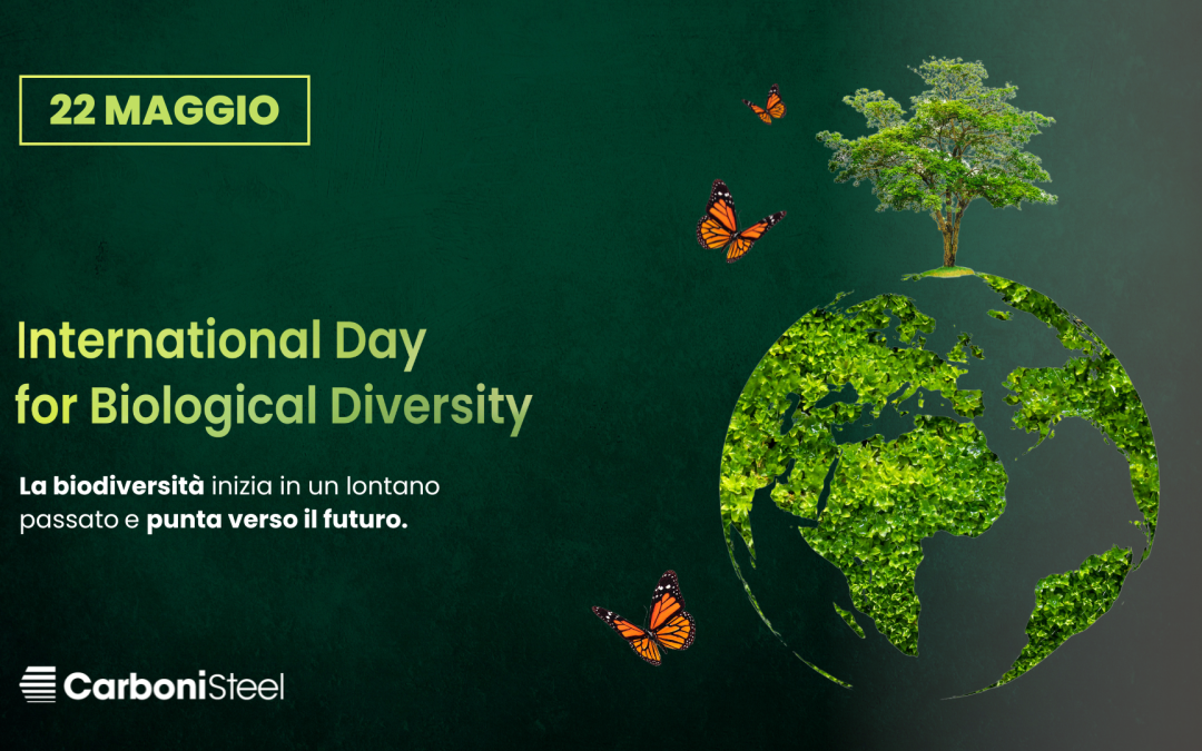 Giornata mondiale della biodiversità 2023 – La ricchezza della vita sulla Terra è a rischio e va protetta